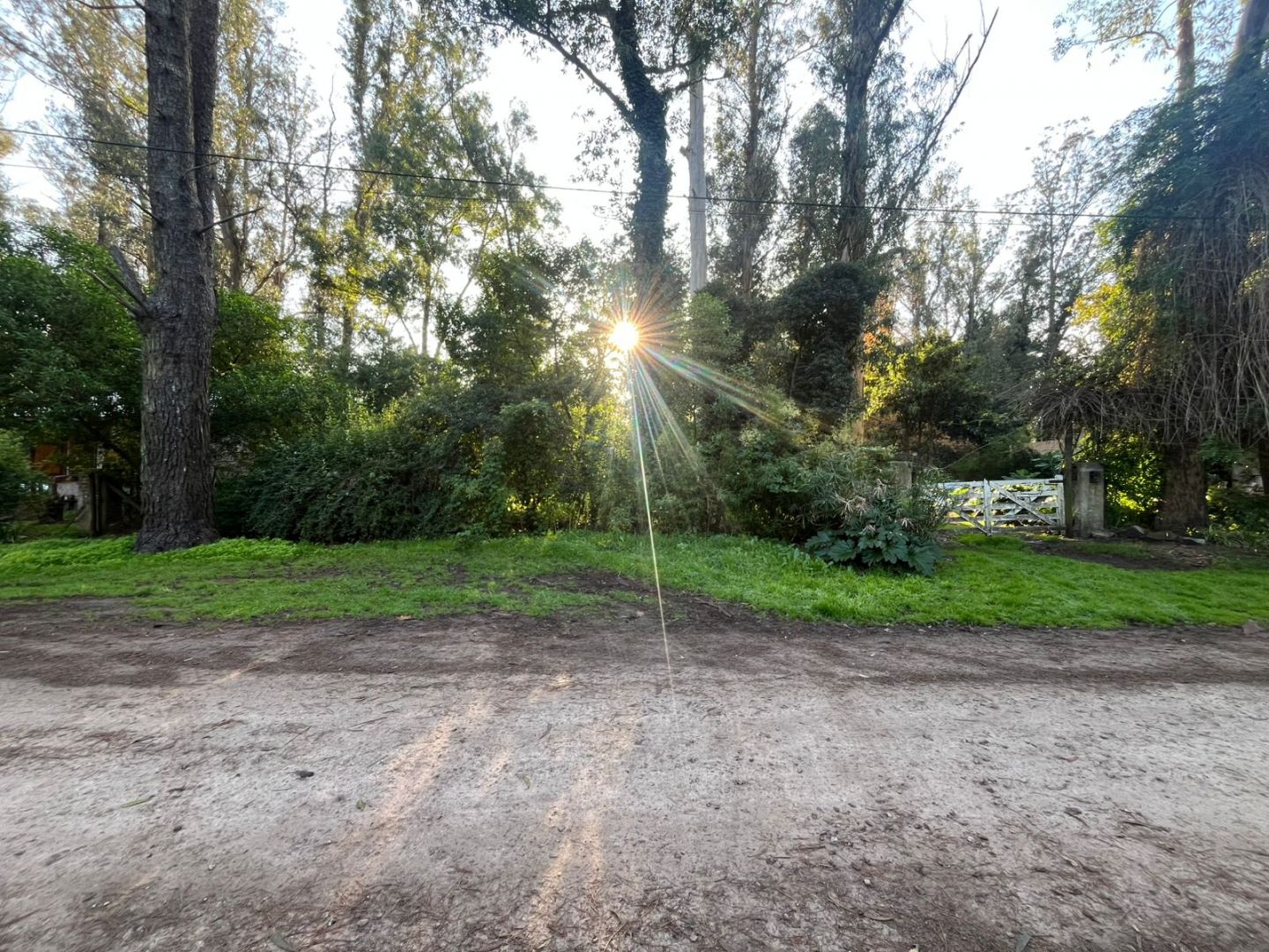 2d40b615bf2e94f4d351bfba6c606848 Terreno en venta forestado de 750 m² - Bosque Peralta Ramos - foto 4