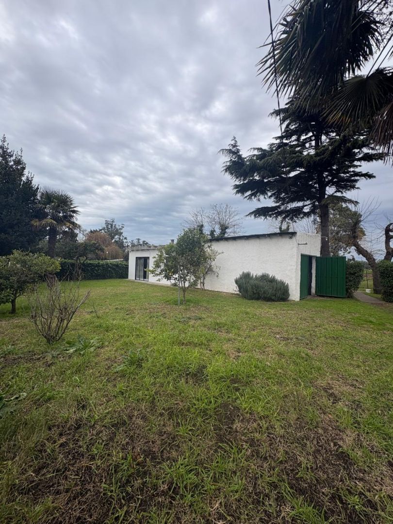 Casa quinta en venta con taller sobre lote de 2.658 m² - Ruta 88 - foto 2