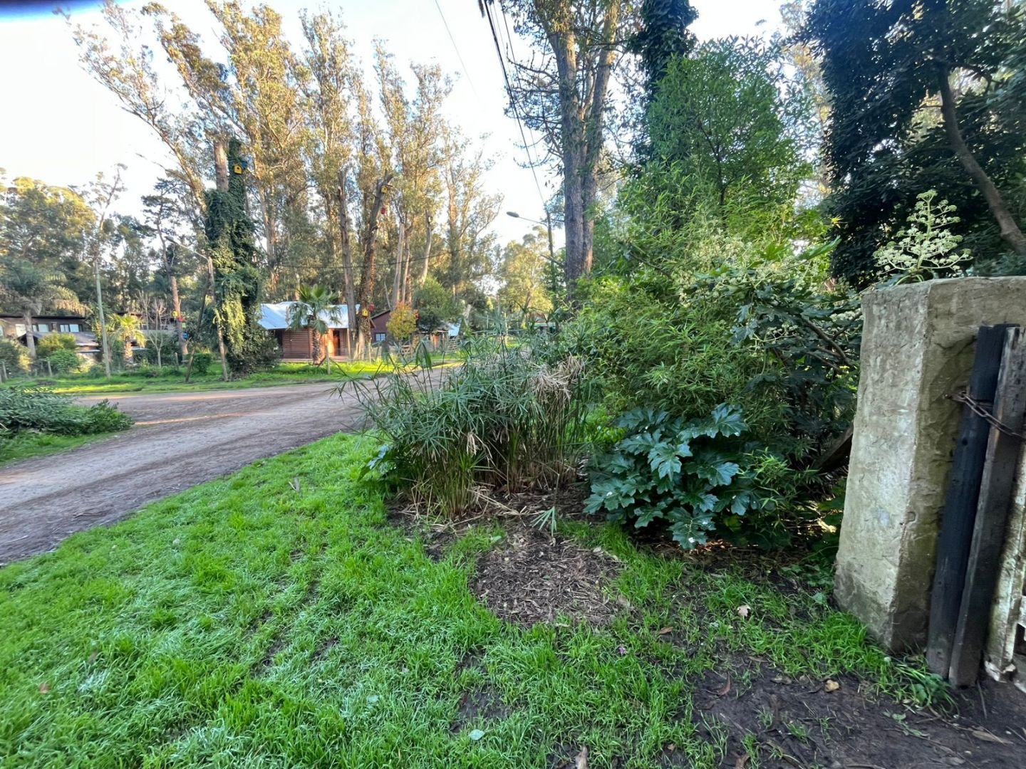 4fa1b10db554d437bac0c15519a6669c Terreno en venta forestado de 750 m² - Bosque Peralta Ramos - foto 5