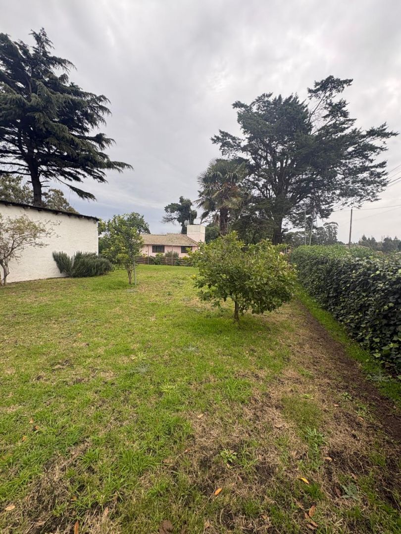 Casa quinta en venta con taller sobre lote de 2.658 m² - Ruta 88 - foto 3