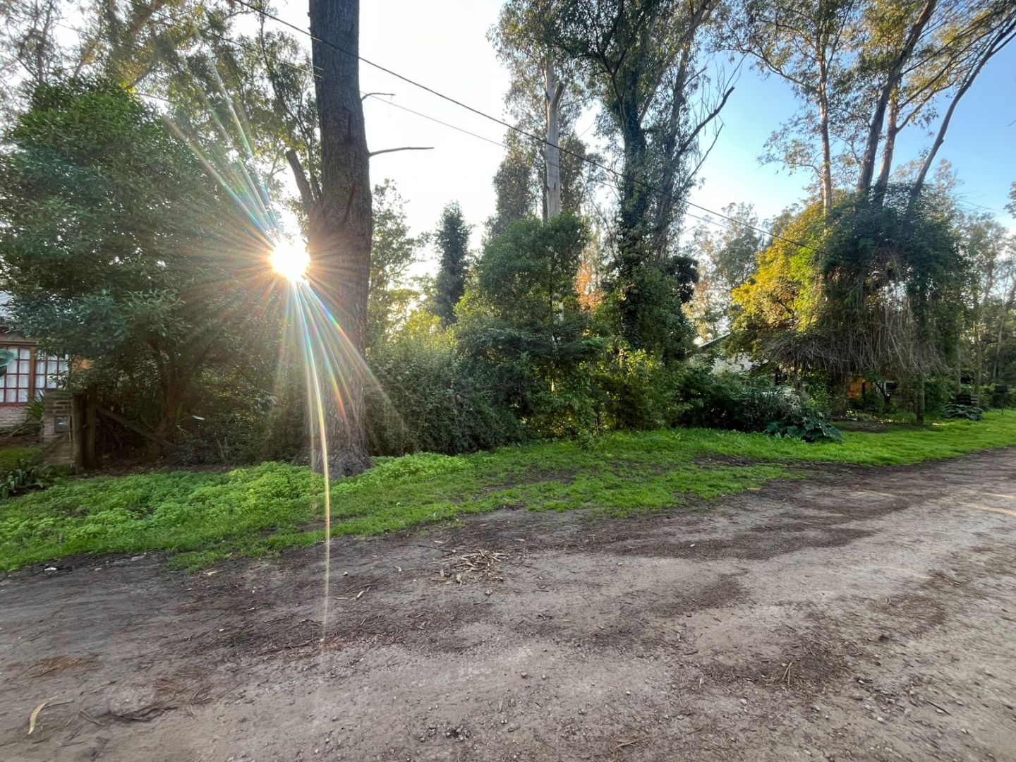 66943f5cccc978f6f8465039cfb3fad9 Terreno en venta forestado de 750 m² - Bosque Peralta Ramos - foto 3