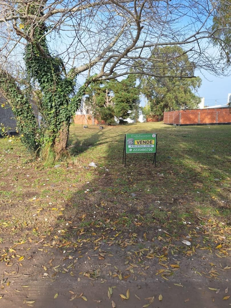 Terrenos en venta desde 213 m² con todos los servicios - Los Pinares - foto 3