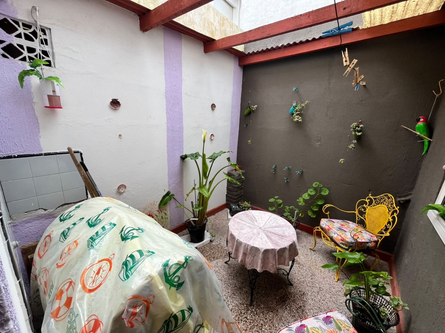 PH en venta 3 ambientes al frente con dos patios - Punta Mogotes - foto 11