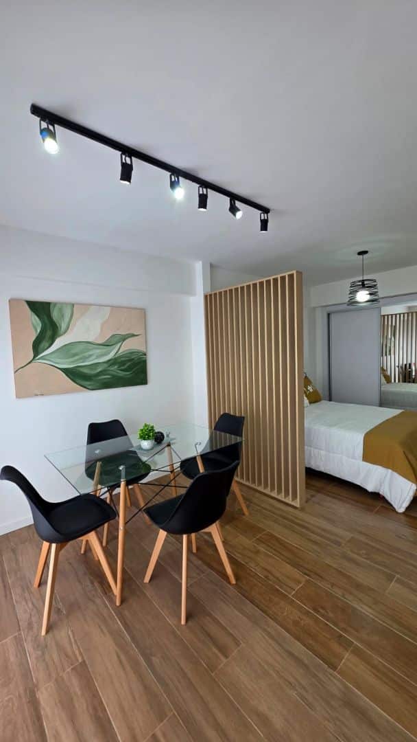 ca8539a498bf75040c92ac2e6f4a72b7 Departamento en venta 1 ambiente amoblado con balcón - Paseo Aldrey - foto 3